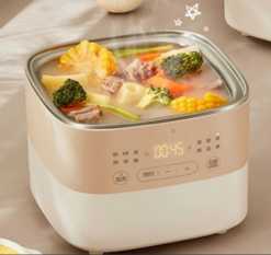Flora 2L Electric Pot + Stew Pot