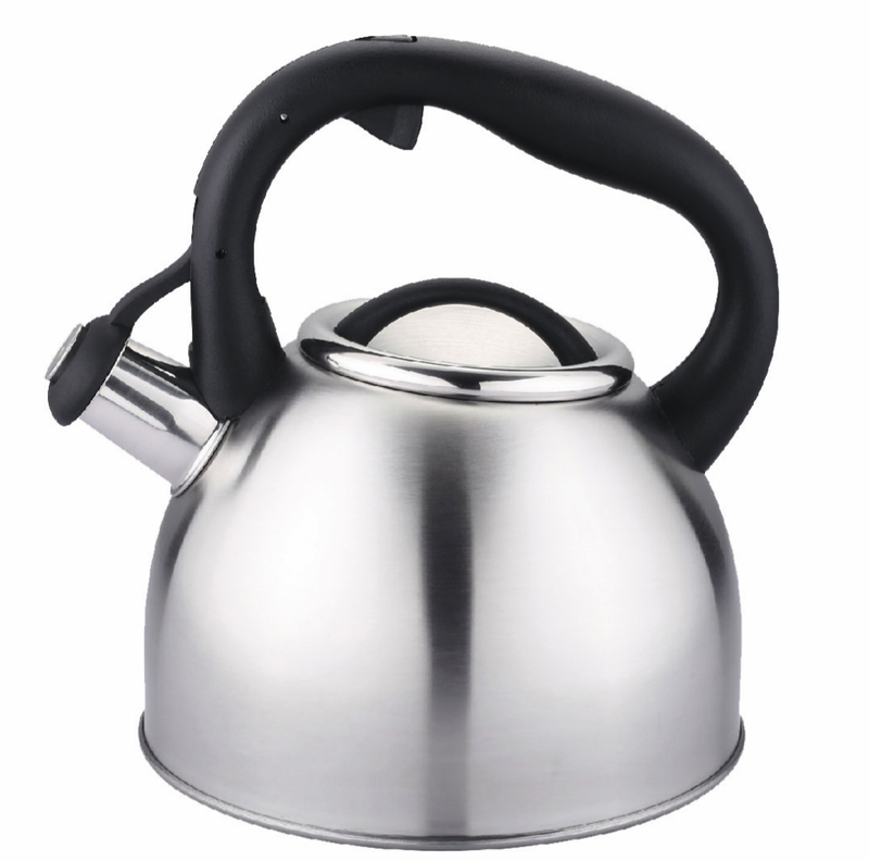 BONN Water kettle 2,5l/Stainless steel/Satin finish in gift box